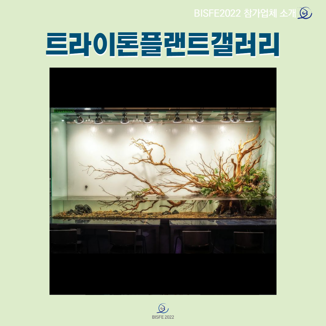 트라이톤플랜트갤러리