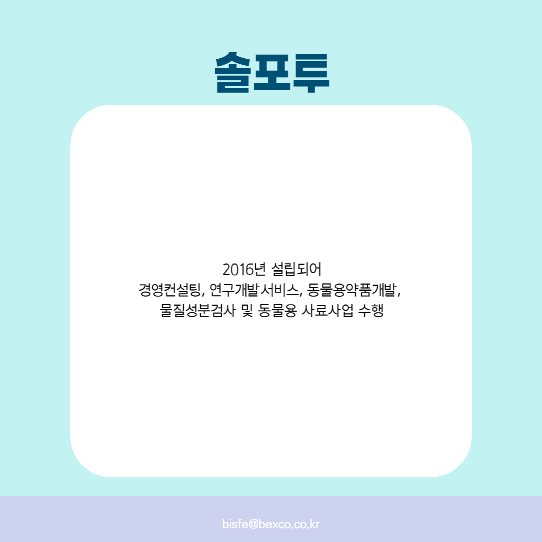 솔포투
