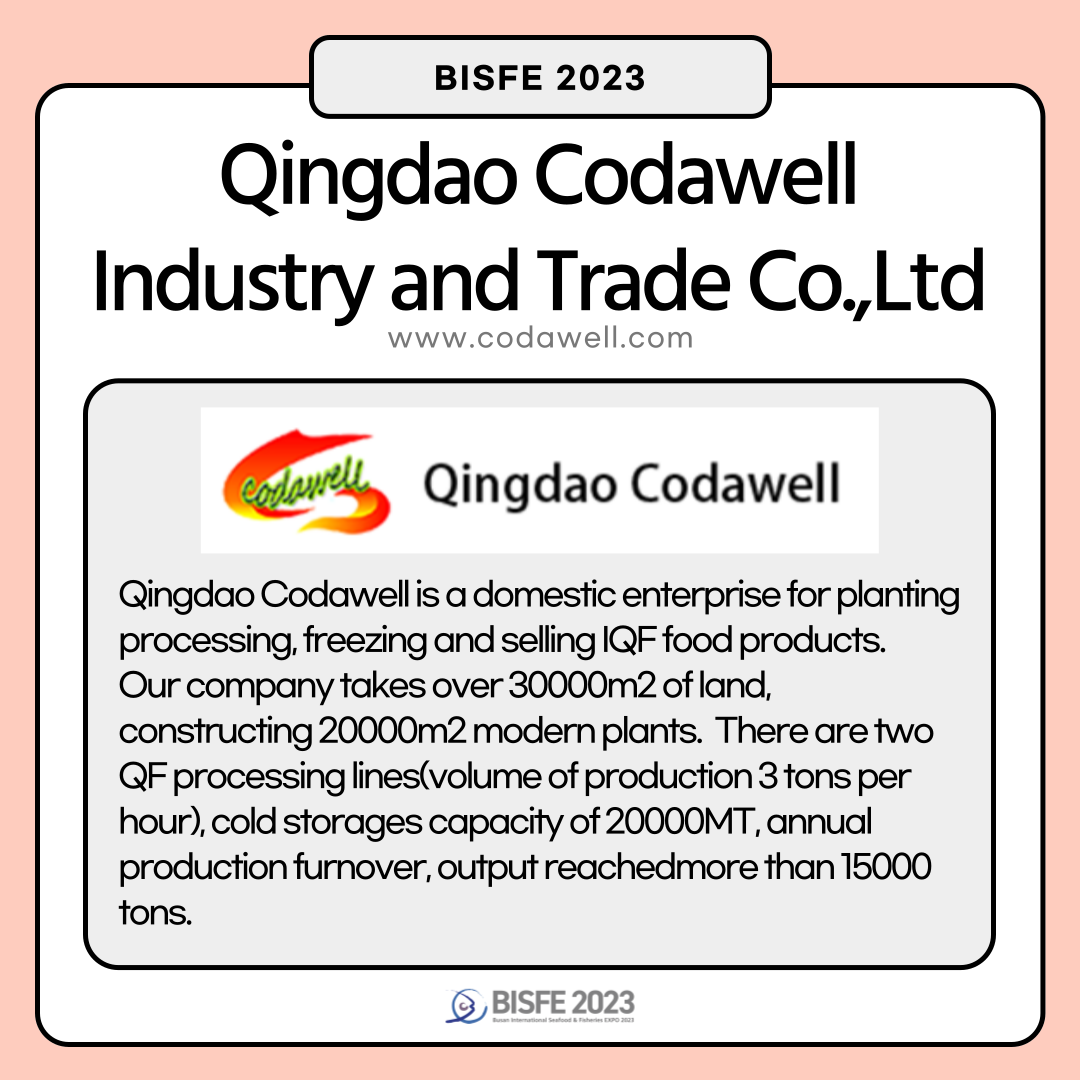 QINGDAO CODAWELL